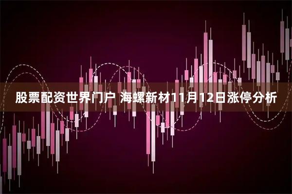 股票配资世界门户 海螺新材11月12日涨停分析