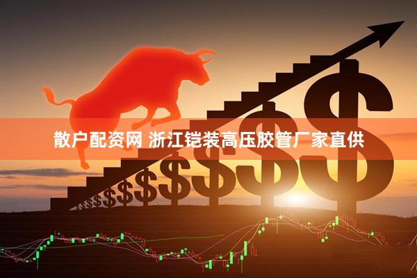 散户配资网 浙江铠装高压胶管厂家直供