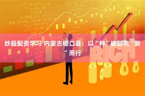 炒股配资学习 内蒙古磴口县：以“种”破题向“新”而行