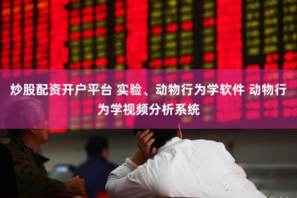炒股配资开户平台 实验、动物行为学软件 动物行为学视频分析系统