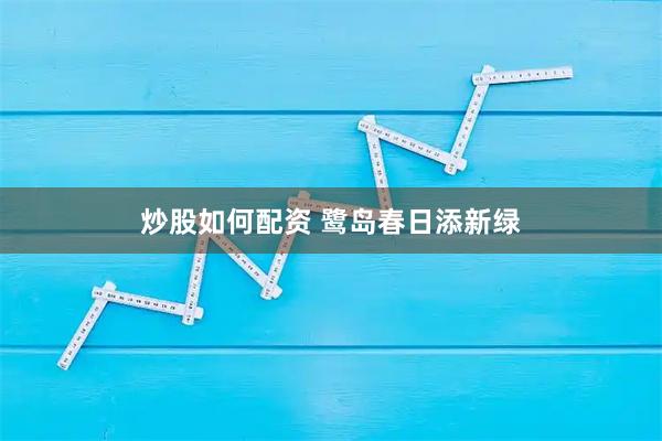 炒股如何配资 鹭岛春日添新绿