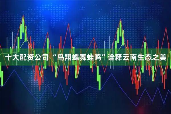 十大配资公司 “鸟翔蝶舞蛙鸣”诠释云南生态之美