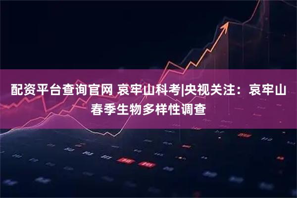 配资平台查询官网 哀牢山科考|央视关注：哀牢山春季生物多样性调查